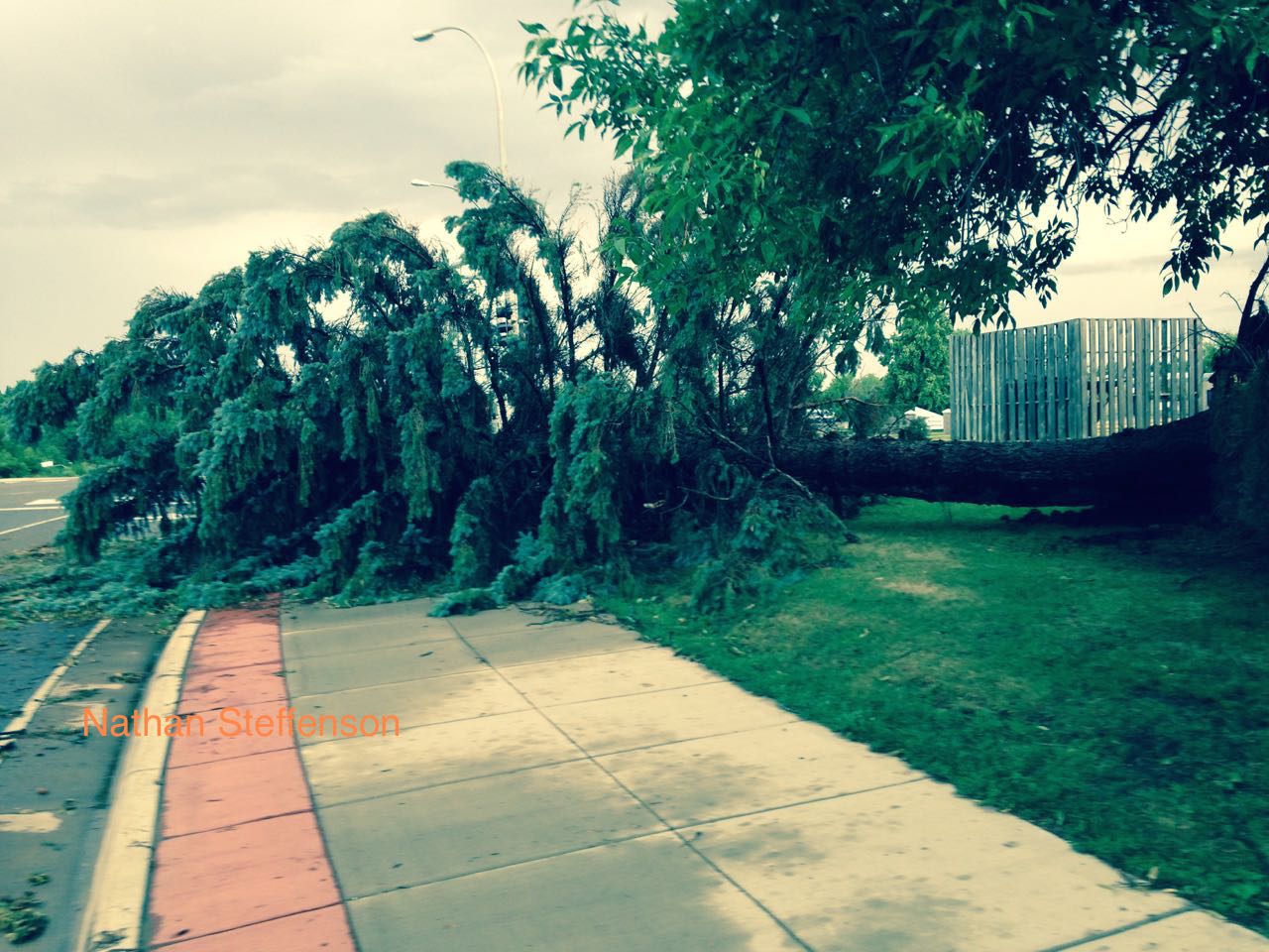 n tree by Brainerd High School down tree by Brainerd High School