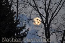 full moon between trees