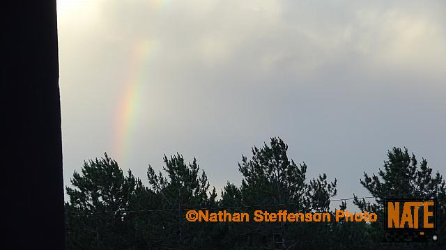 DSC01954