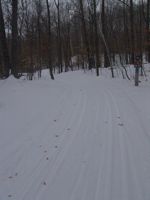 cross country ski trail Kathio